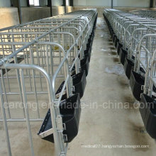 Pig Gestation Crate for Pig Farm Equipment